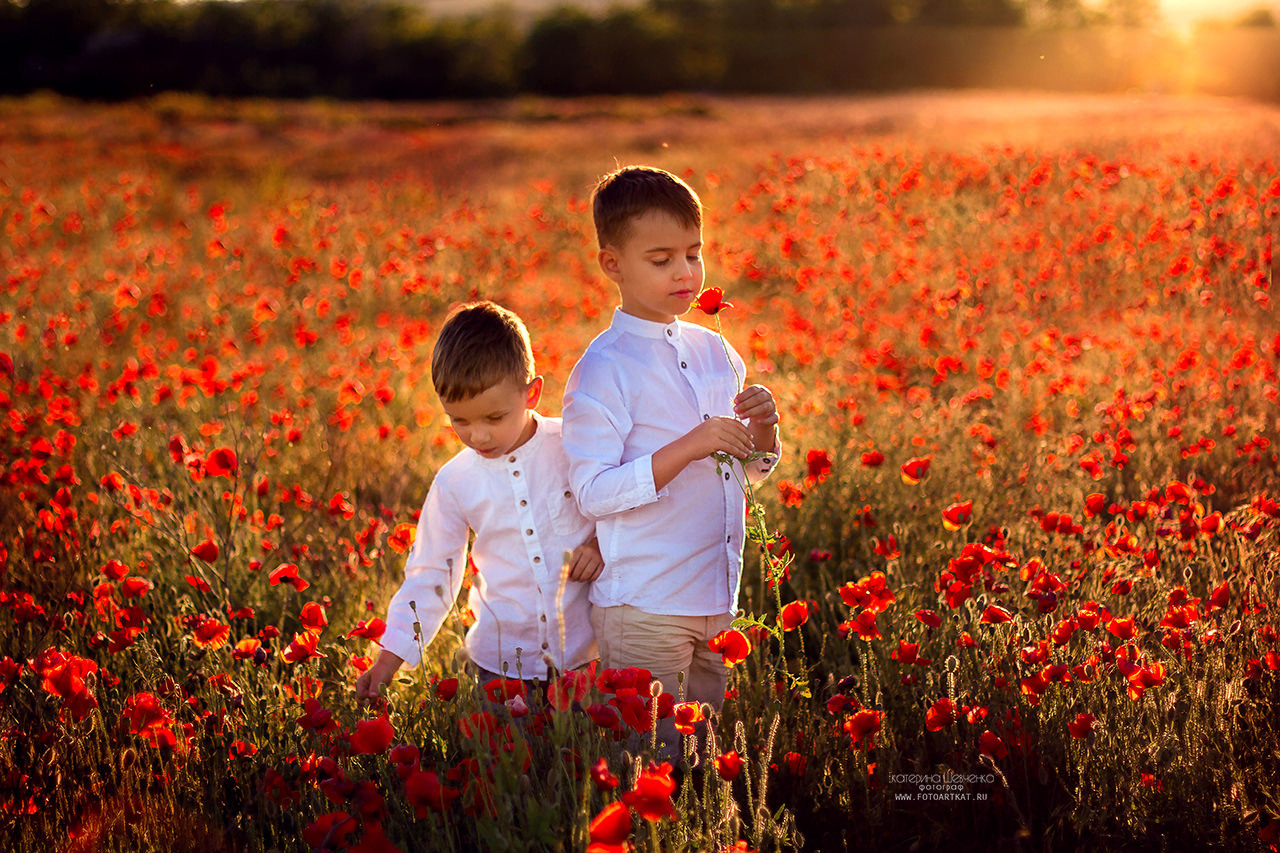 Маковое поле. Семейный и детский фотограф в Ростове-на-Дону Екатерина Шевченко