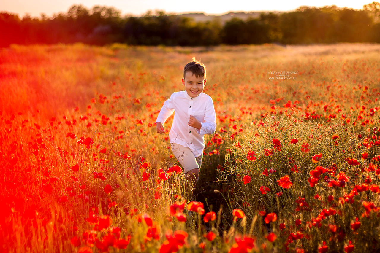 Маковое поле. Семейный и детский фотограф в Ростове-на-Дону Екатерина Шевченко