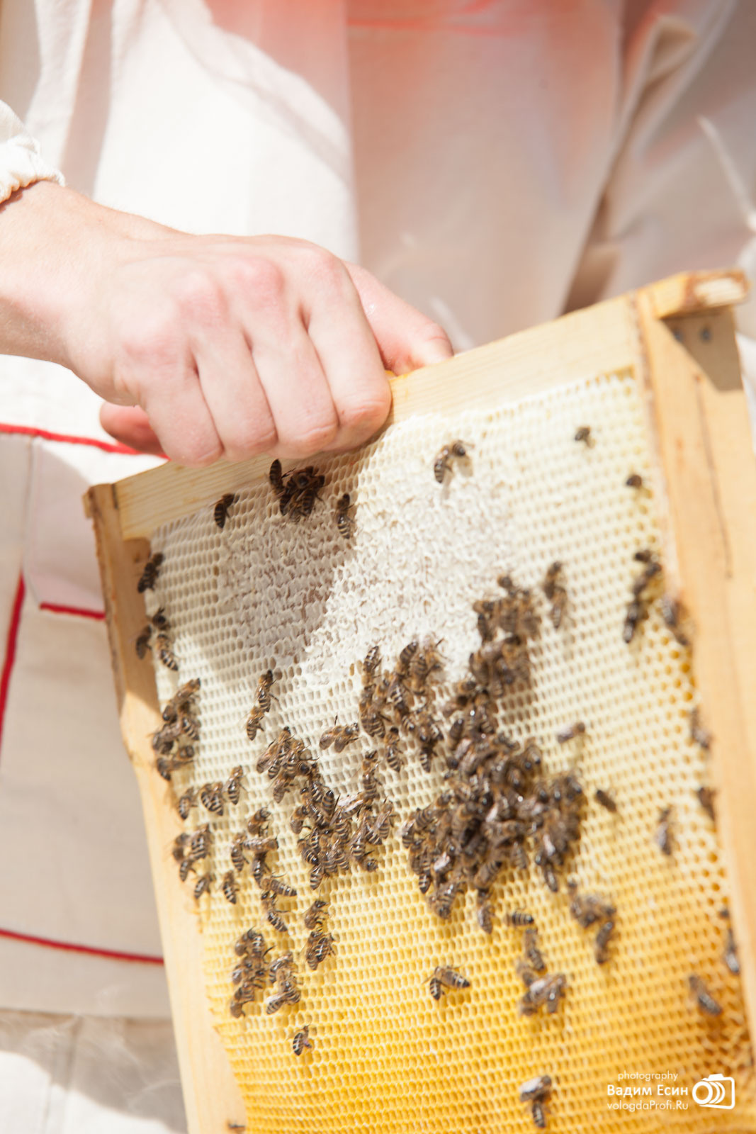 Репортажная фотосъемка