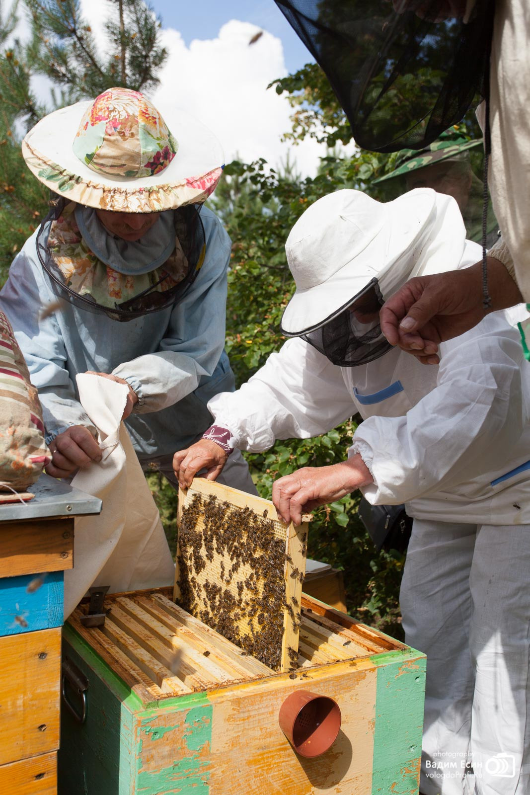 Репортажная фотосъемка