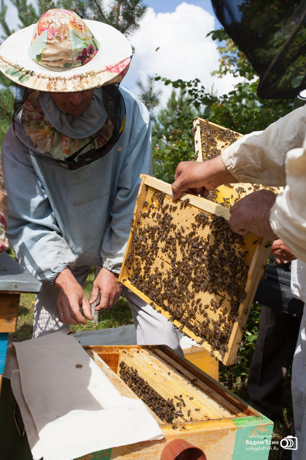 Репортажная фотосъемка