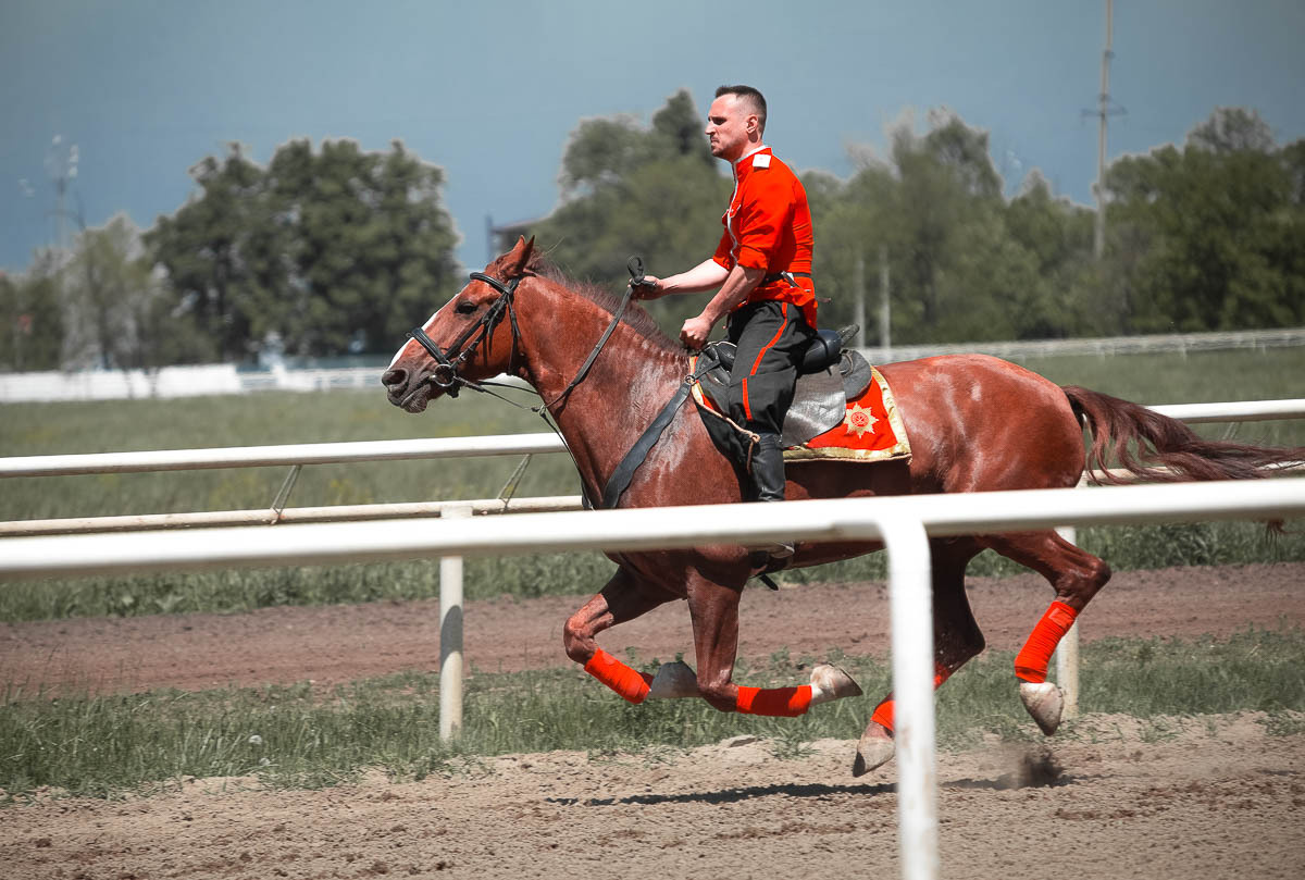 Скачки в честь Дня Победы на Краснодарском ипподроме. Кубанское казачье войско. Сценический и портретный фотограф Галина Макарова