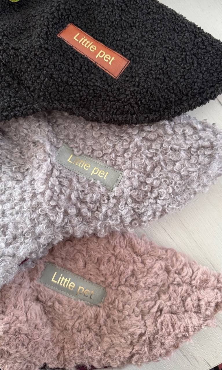 Итоги февраля. Профессиональный питомник левреток РКФ/FCI ASTI SAPPHIRE 💎 Сочи|Санкт-Петербург