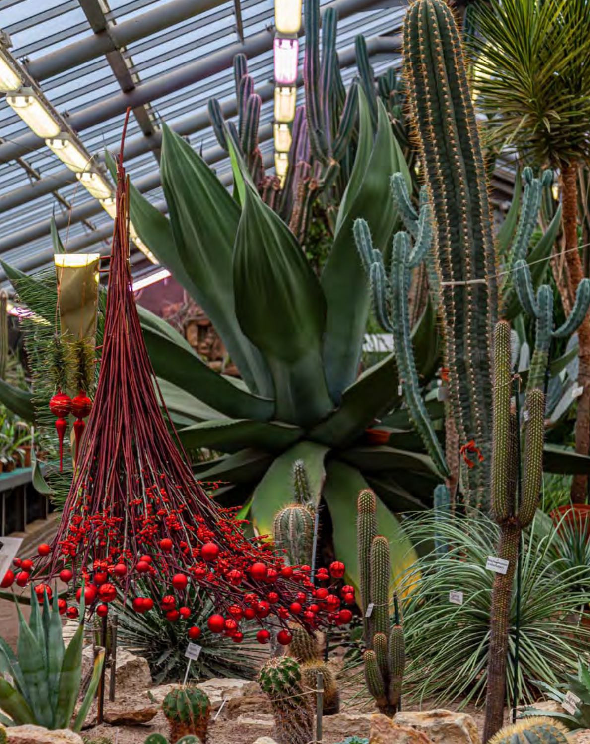 Floral art in SPB Botanical Garden. Published in “FLOWERS” magazine 01/2021. Maria Poleshchuk, commercial photographer in Sydney