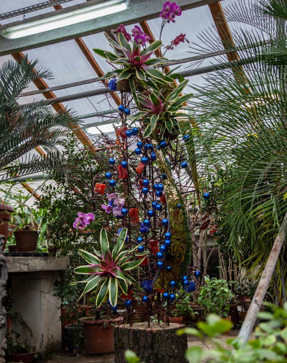 Floral art in SPB Botanical Garden. Published in “FLOWERS” magazine 01/2021. Maria Poleshchuk, commercial photographer in Sydney