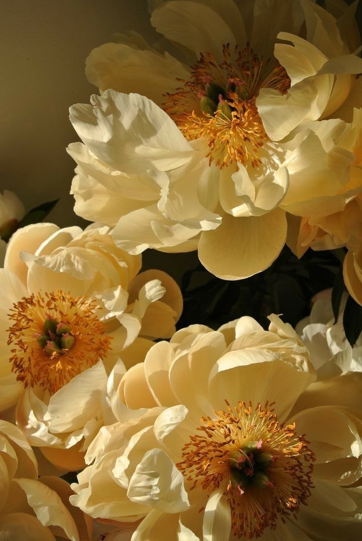 Приглашение на свадьбу