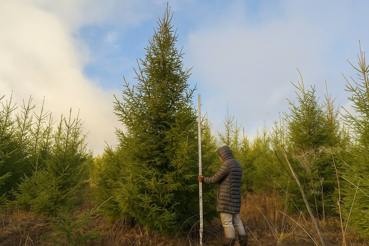 Крупномеры РФ