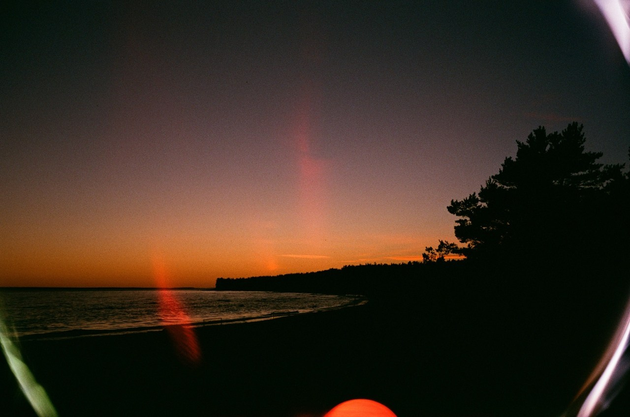 Автор: Елизавета Шакурина