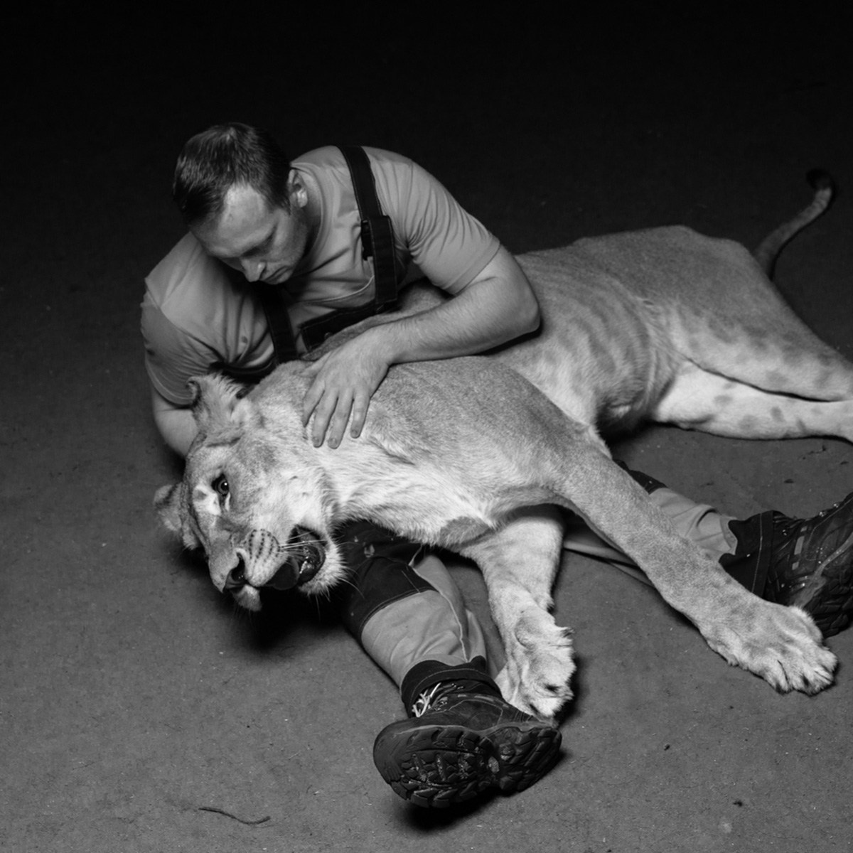 ПОМОГИТЕ ЛЬВАМ. Антон Тимошевский, профессиональный портретный фотограф в Москве и Орле