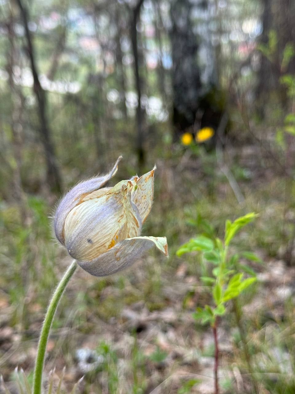 Идем на восток. Портретный фотограф Москва, репортаж и естественная постановка
