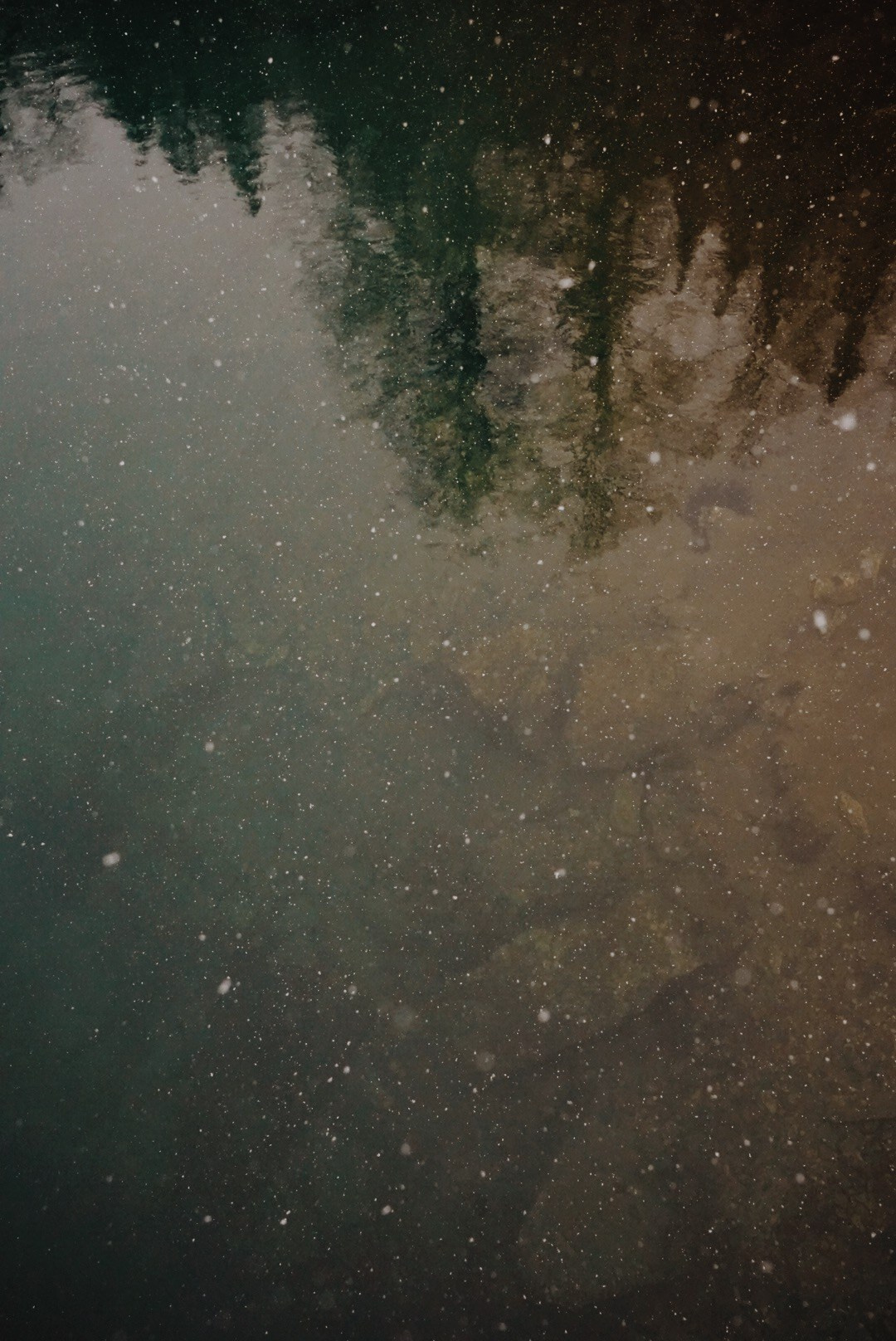 EKATERINA BOGDANOVA ─ PHOTOGRAPHER