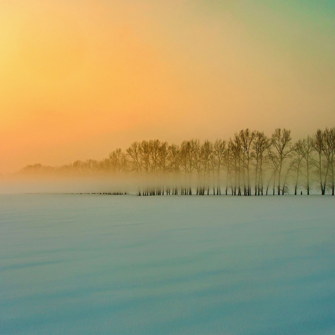 Творчество. Репортажный фотограф в Москве Измалков Артем