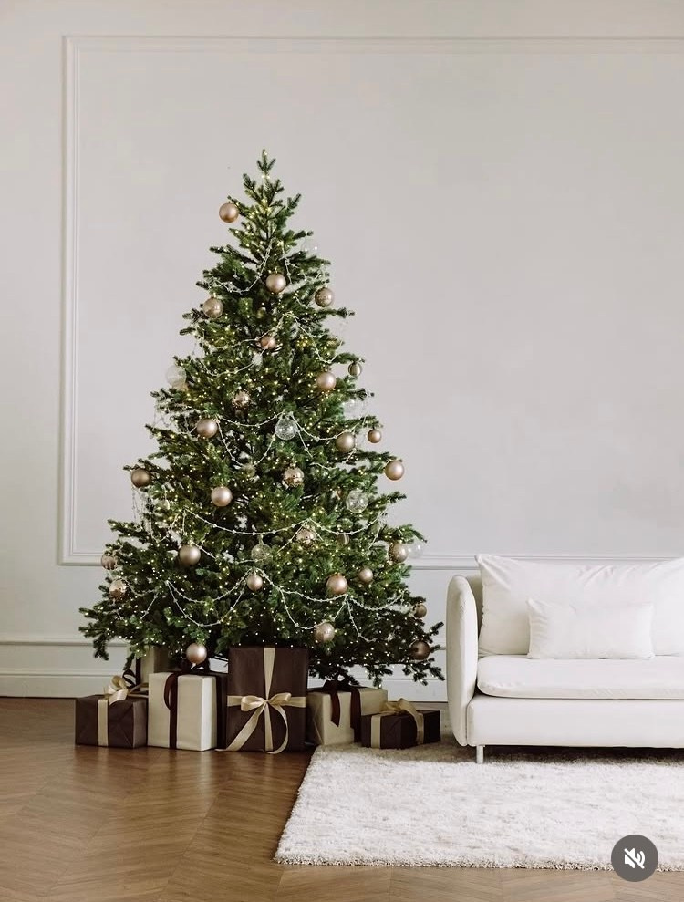 Новый год. Фотограф Беременности в Краснодаре Кара Артисан