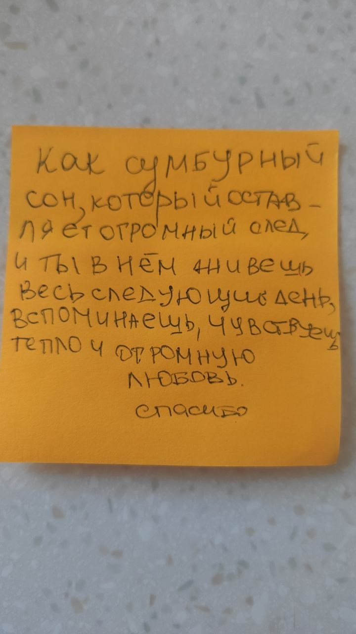 Отзывы на творческий лагерь для взрослых в Карелии вайлдарткэмп