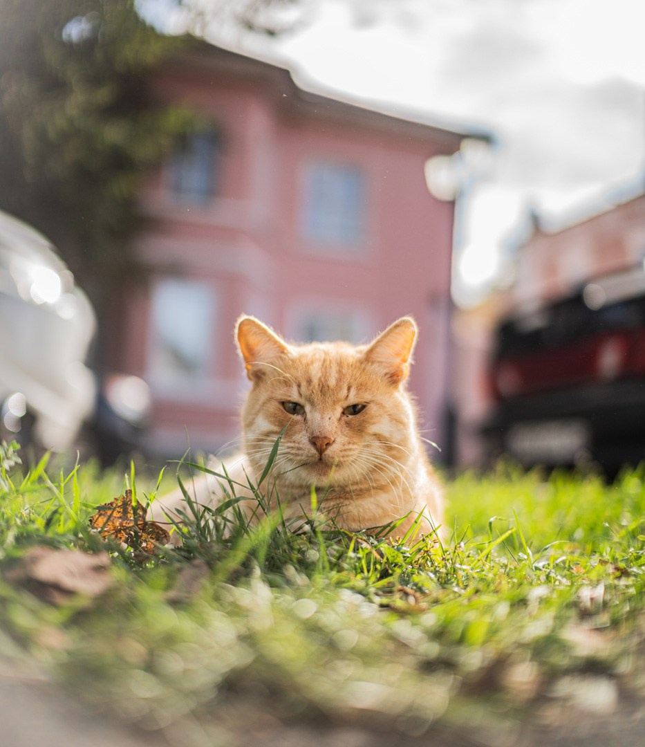 Автопутешествие по России на Range Rover, Discovery , Defender. Жуков Илья свадебный фотограф в Москве