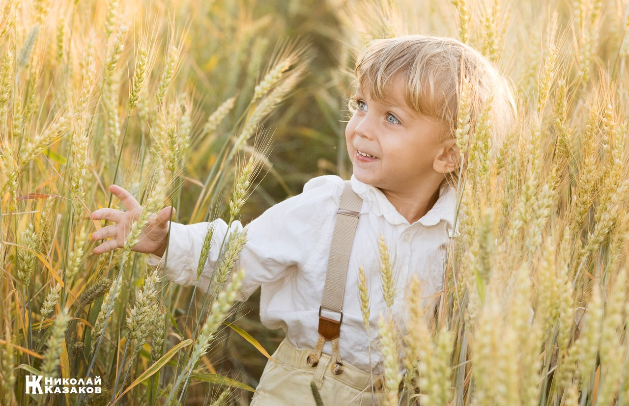 Эмоционаьный портрет счастливого маленького мальчика с светлыми волосами , освещенного лучами солнца во время игры в пшеничном поле на закате.