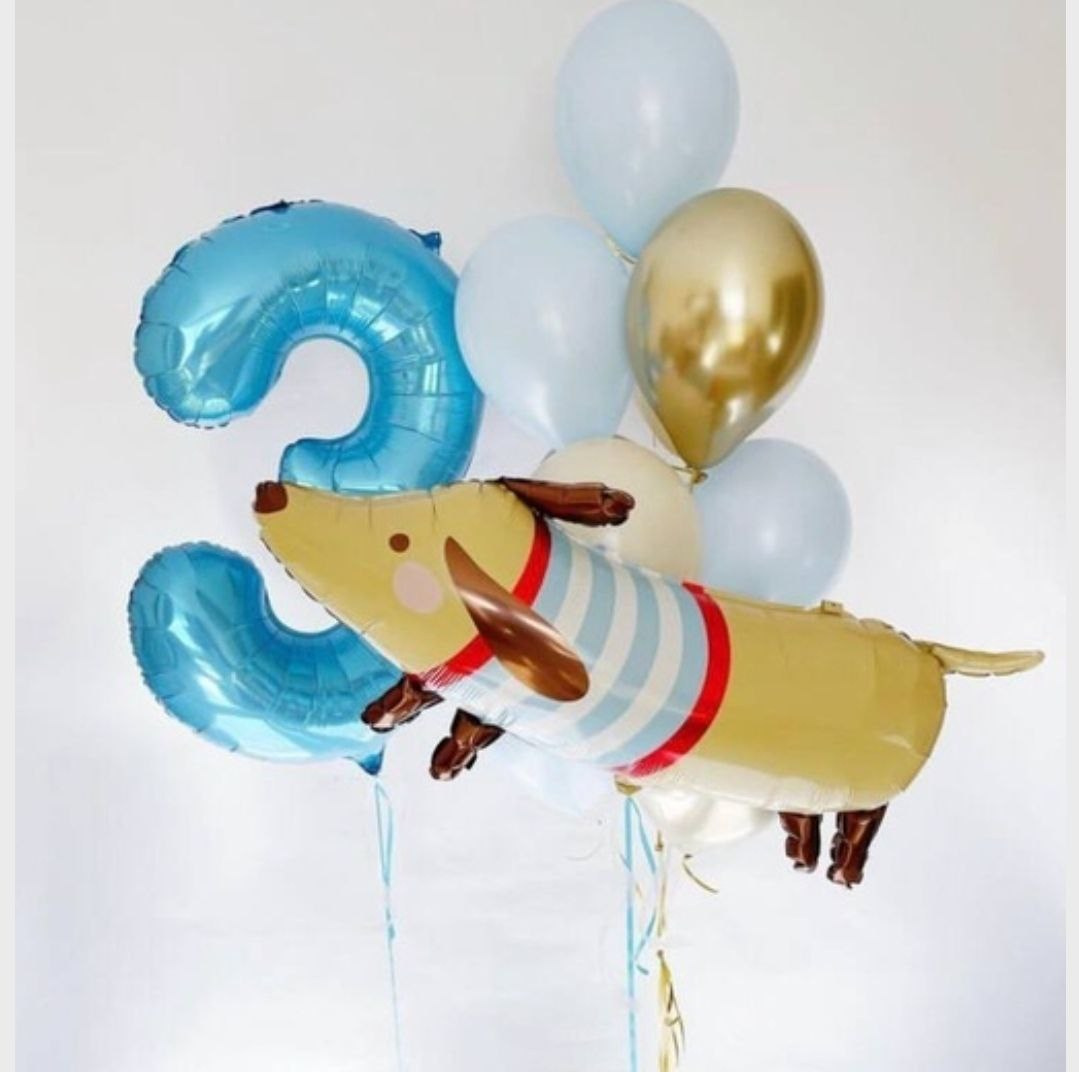 Dostava balona Novi Sad Dostava balona Beograd. Шары с гелием, фотозоны Нови Сад Белград. Balone i dekoracije od balona Novi Sad Beograd