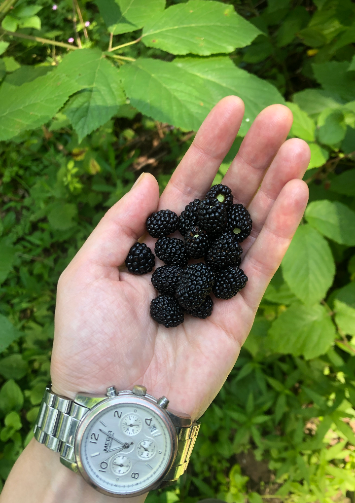 Лагодехи, Грузия 🇬🇪. Anita_photo