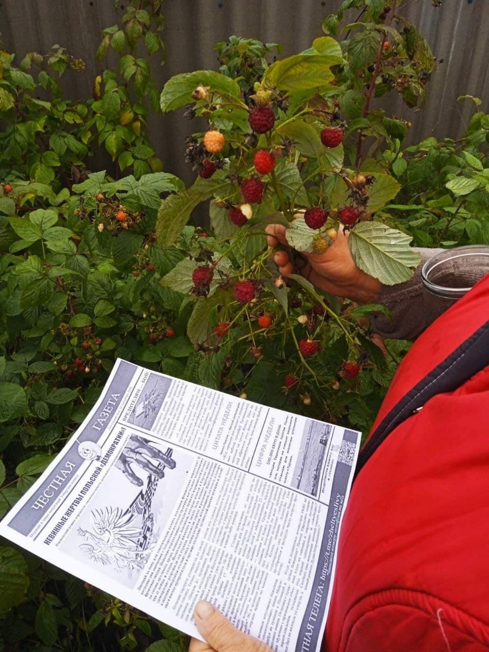 Readers (2022). Künstler Verstecktoff