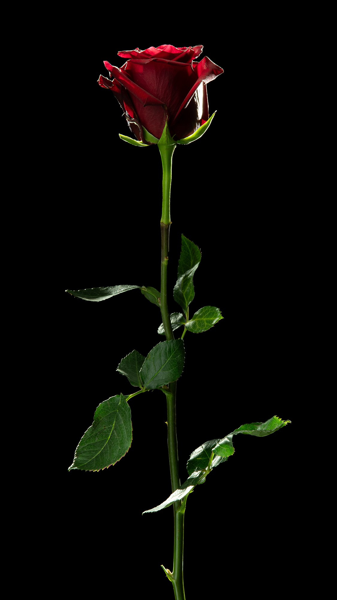 Проекты. Sakunov Photo