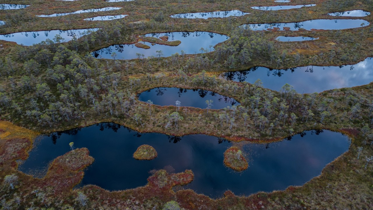 Осень на Карельском перешейке. Сентябрь