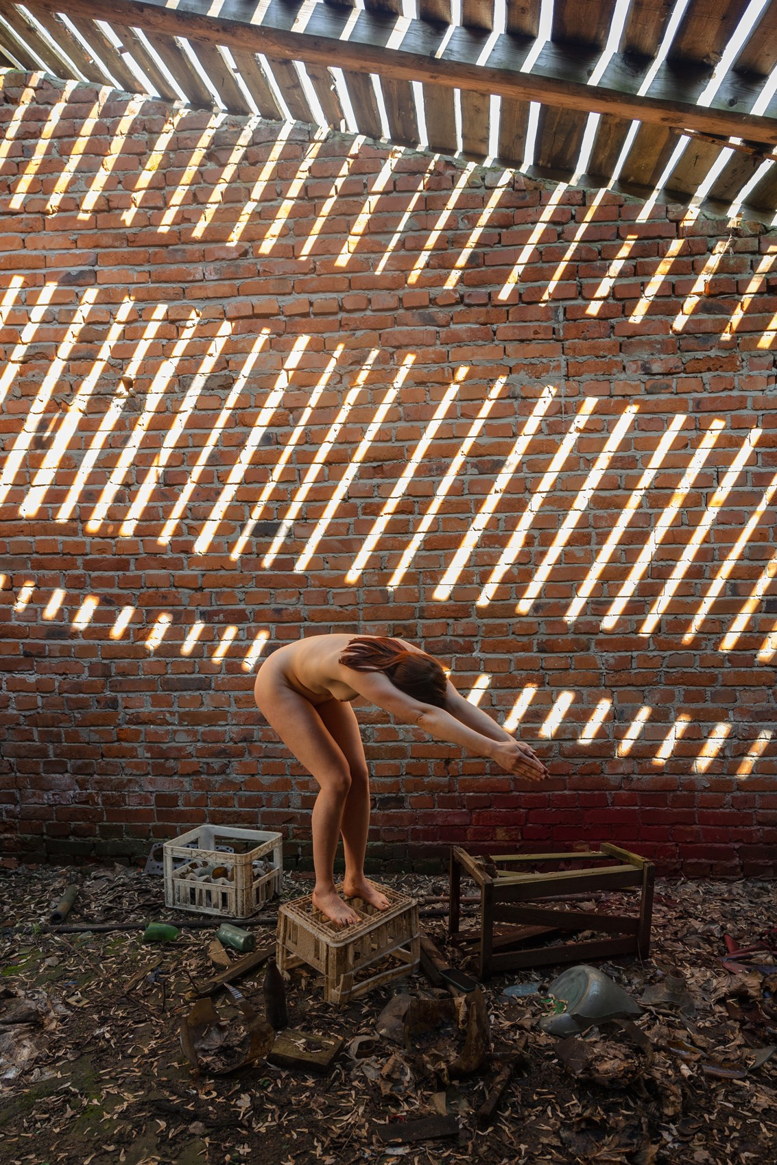 Живое, мёртвое, спутанное