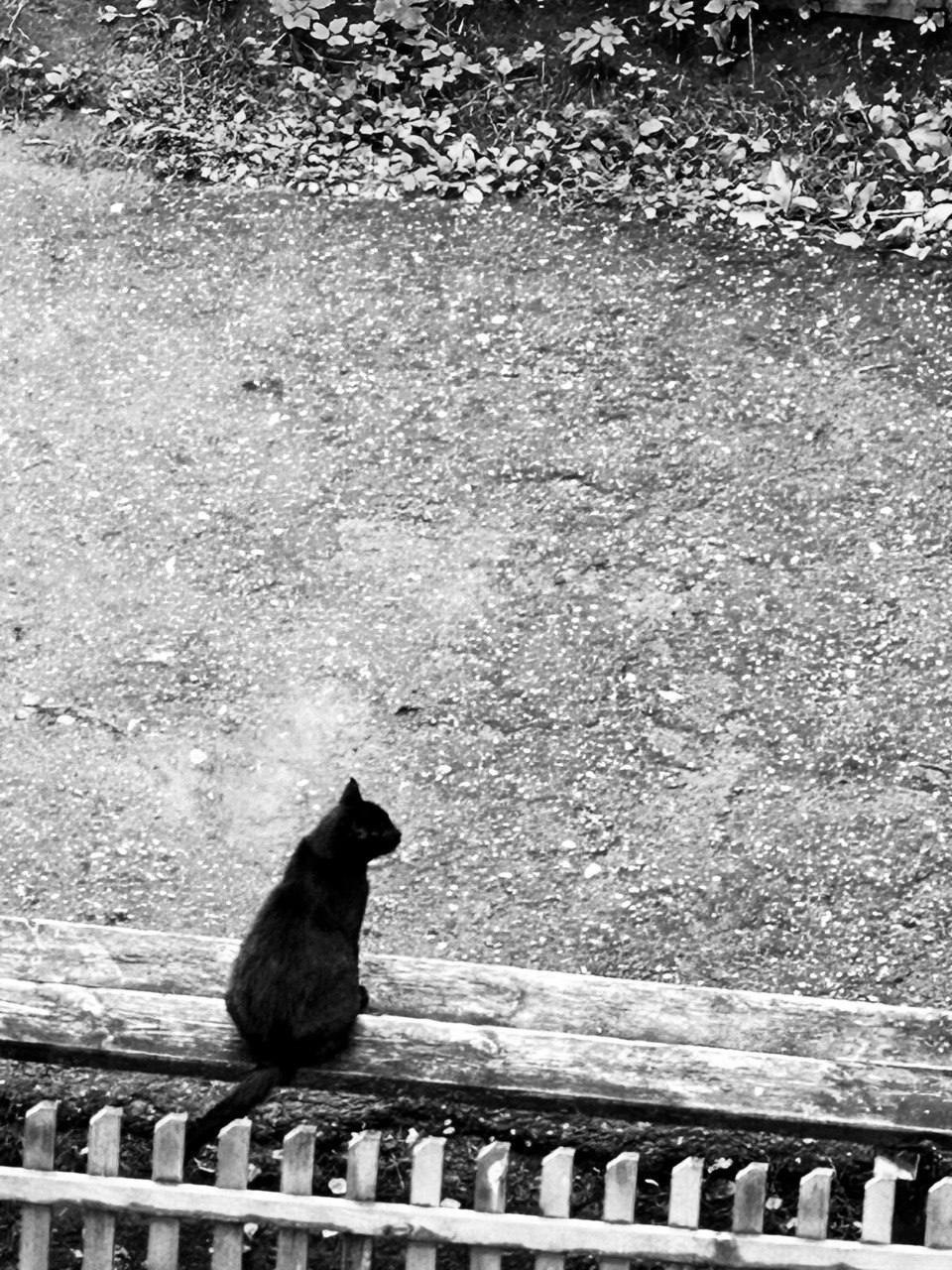 Фотография как разговор с миром. Портретный фотограф в Дзержинске и Нижнем Новгороде