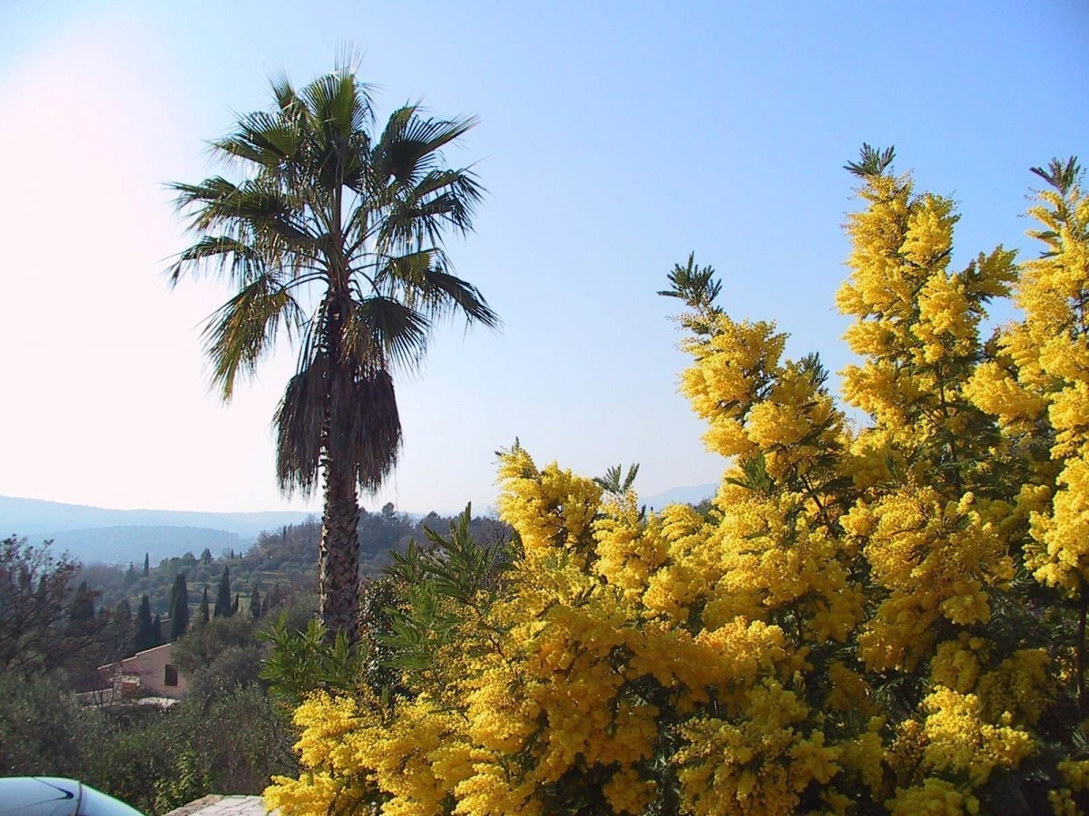 Обучающий фототур в Абхазию 20–25 февраля 2026. Детский и семейный фотограф Елена Михайлова в Москве
