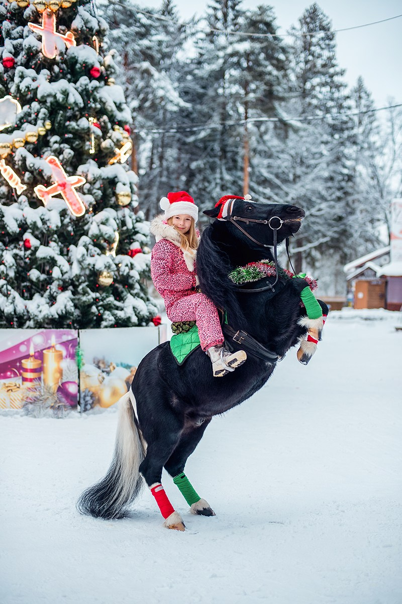Главная /Зимние фотосессии. Фотограф Татьяна Толстых (Москва, Калуга, Обнинск)
