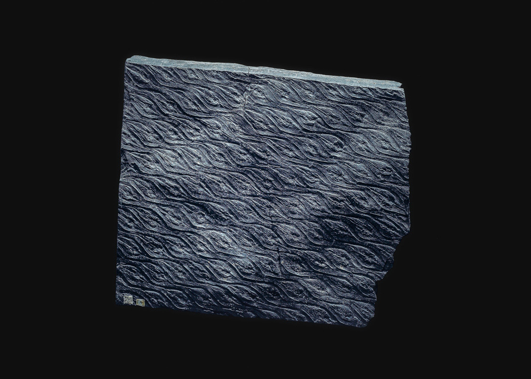 The Fossil. Andrey Akimov Photography