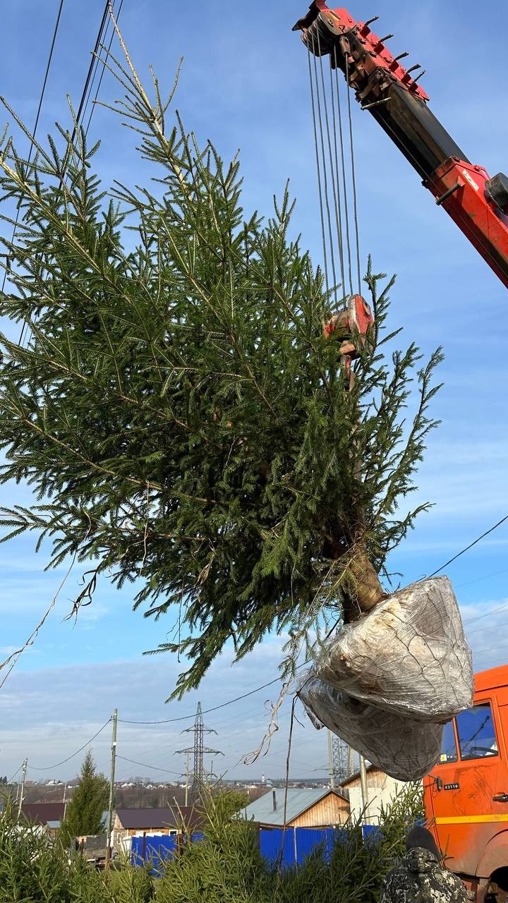 Крупномеры РФ