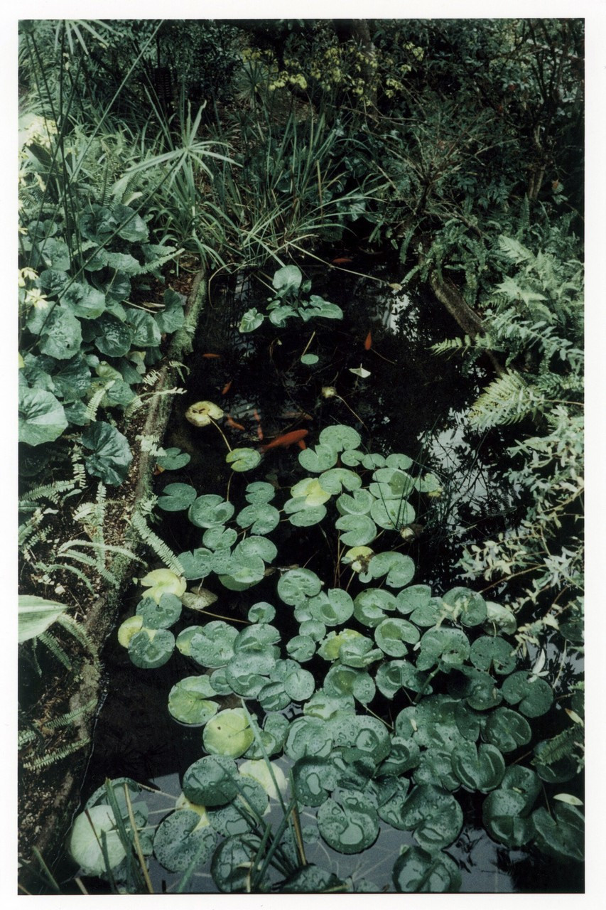 Фотографии из проекта. Рекламный и коммерческий фотограф | Георгий Романов