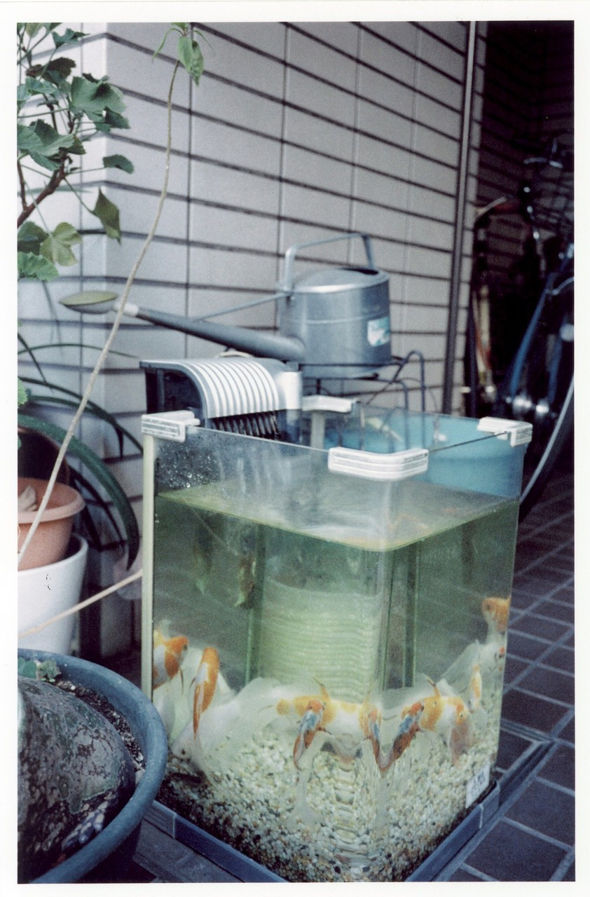 Фотографии из проекта. Рекламный и коммерческий фотограф | Георгий Романов