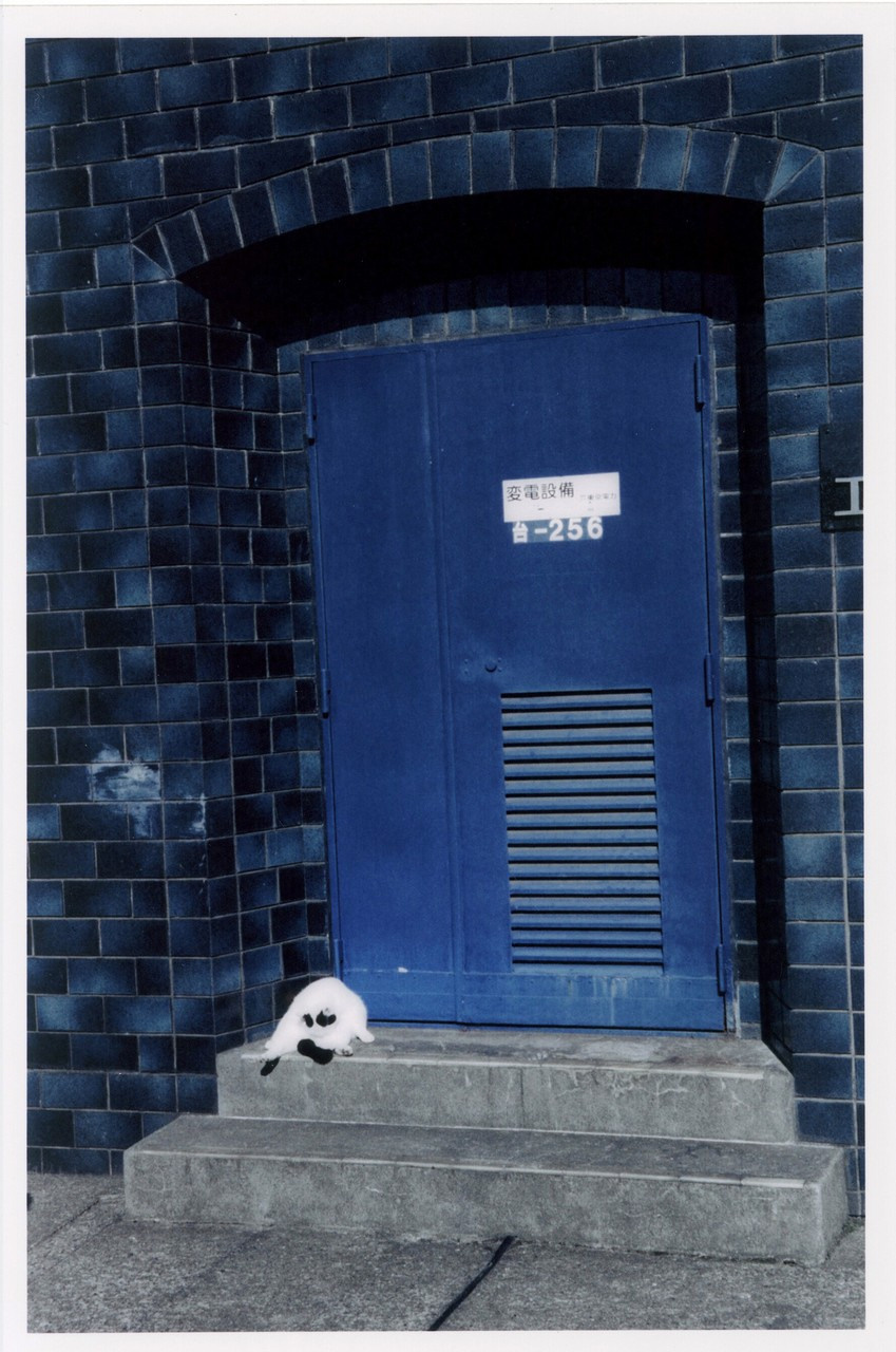 Фотографии из проекта. Рекламный и коммерческий фотограф | Георгий Романов