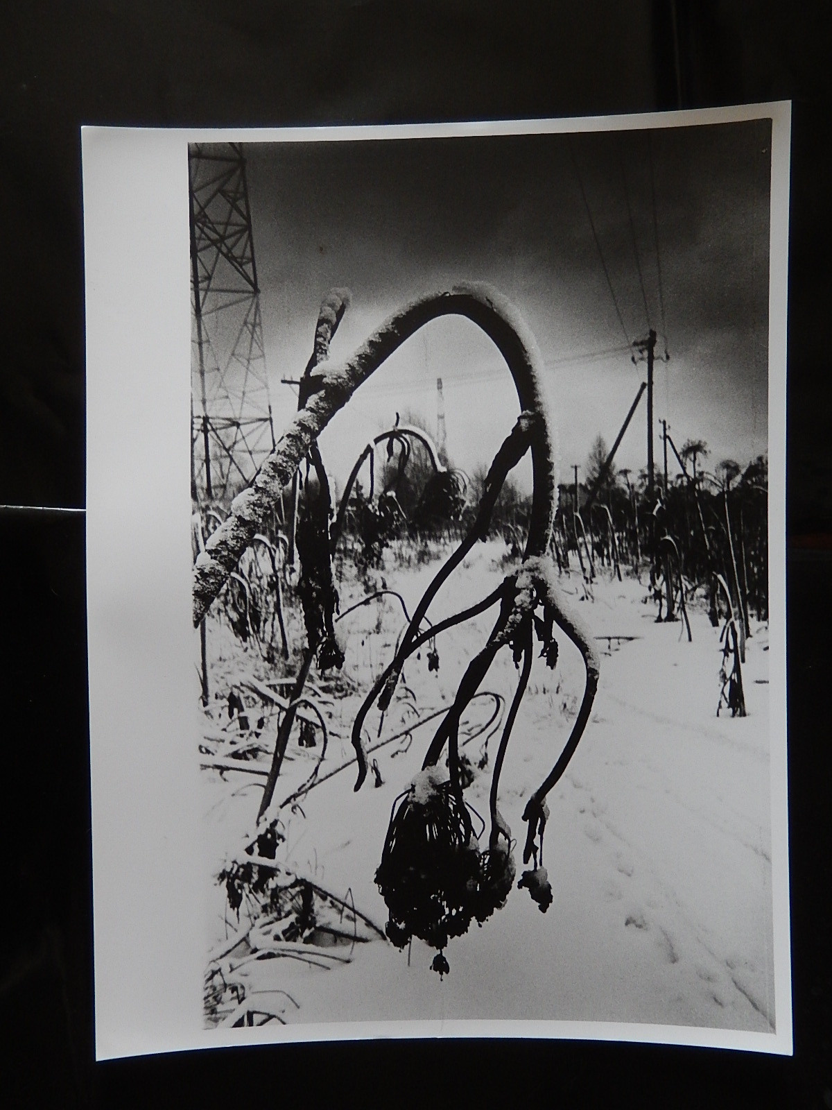 Снежная Ширма. Фотографии. Рекламный и коммерческий фотограф | Георгий Романов