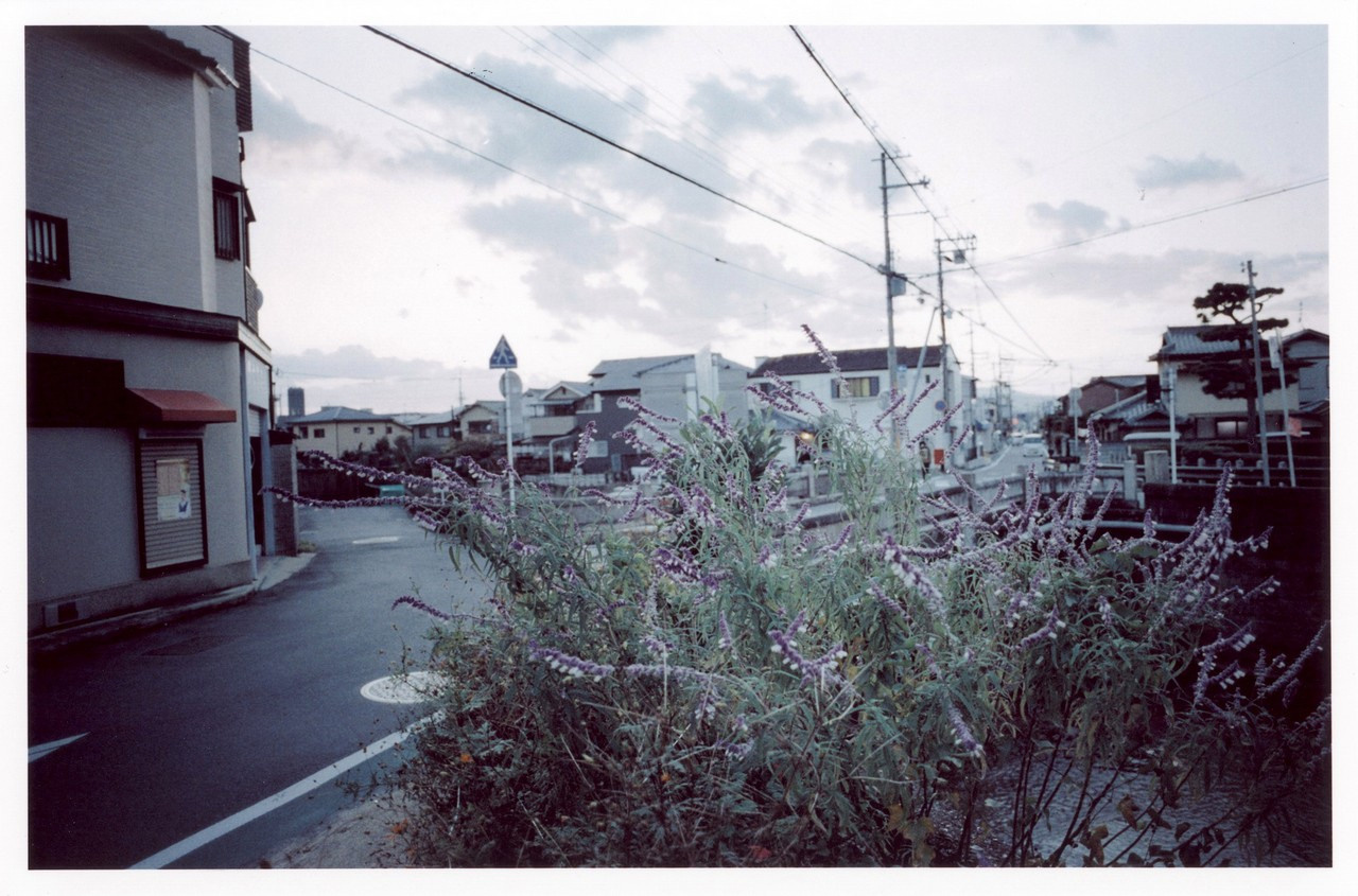 Фотографии из проекта. Рекламный и коммерческий фотограф | Георгий Романов