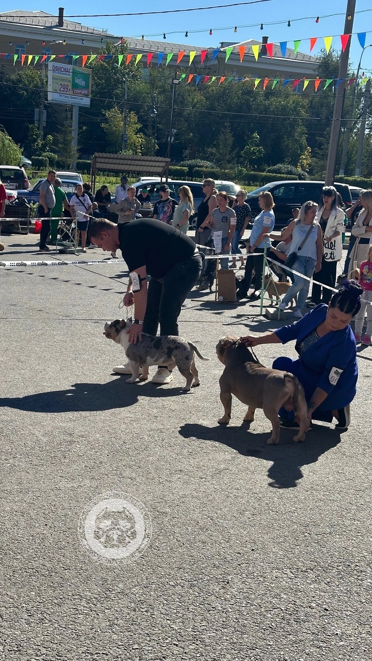 американский булли Юг, американский булли южный округ, лучшие американские булли на юге россии, топовые булли в россии, топовые американские булли в россии, ТОП булли, Топ американский булли, самые крутые американские булли, булли клаccик, булли покет, булли стандарт, булли экзот, булли xl, амeриканский булли, щенок булли, американский булли питомник, американский булли купить, американский булли щенок, американский булли москва, американский булли ростов-на-дону, американский булли краснодар, американский булли ставрополь, американский булли волгоград, американский булли семфирополь, американский булли ставрополь, американский булли сочи, американский булли воронеж, американский булли питер, американский булли санкт-петербург, американский булли Казань, американский булли Новосибирск, американский булли Челябинск, американский булли Ростов, американский булли Луганск, американский булли Донецк, американский булли покет, американский булли классик.американский булли ,американский булли щенки , американский булли купить ,американский булли фото , американский булли покет , собака американский булли , порода американский булли , американский булли цена , купить щенка американского булли ,американский булли характеристика , порода собак американский булли, питомник американских булли , американский булли отзывы, американский булли стандарт , американский булли отзывы владельцев, американский булли xl , россия американские булли , американские булли москва , американский булли вес , американский булли цена щенка, американский булли породы собак сша , американский булли размеры , американский булли классик , американский булли классика , американский булли характеристика породы , авито американский булли , сколько стоит американский булли , окрасы американских булли , американский булли виды , американский булли типы , американский булли цена в россии , американский булли экзот , американский булли микро , американский булли мини , собака американский булли фото , американский булли спб , американский булли характер , минусы американского булли , купить американского булли в москве , американские булли сколько щенков , плюсы американского булли , американский булли плюсы и минусы , взрослый американский булли , американский булли фото цена , американский булли фото щенков , американский булли крым , сколько живут американские булли , американский булли описание , американский булли купить авито , американский булли ростов , собачий питомник , питомник для собак , собаки , порода , щенки, щенок для детей, щенок для ребенка, щенок для семьи, собака для ребенка, питомник BULLY LOVERS, питомник THE POWER OF SIBERIA, питомник Ultimate Bully, питомник FORTIS FORTUNA VALIDI, питомник EXTREME BEAR, питомник American Dream, Питомник RUSSIAN BULLS, питомник ТАРУС & BULLY LAND, питомник Bully Ranch P&N, Питомник ANTREABULLS, питомник Ambully House, питомник Mar Nero, питомник Alfabulls, #micro #microbully #ambully #ambullys #ambullylife #ambullyforlife #ambullyworld #ambullylove #ambullylover #ambullylovers #ambullyloversfans #americanbullybreed #americanbullykennelclub #американскийбуллипитомник #bullies #bulliesallday #bulliesofig #bulliesofinsta #bulliesofinstagram #instabullies #bullieslife #bullymag #americanbully_feature #americanbullydog #tribullies #americanbullyblue #americanbullytricolor #bullystick #americanbullyStud, американский булли,американский булли щенки,американский булли купить,американский булли покет,американский булли фото,собака американский булли,порода американский булли,американский булли цена,американский булли купить щенка,американский булли характеристика,порода собак американский булли,американский булли отзывы,питомник американских булли,американский булли стандарт,американский булли отзывы владельцев,россия американские булли,американский булли виды,американский булли цена щенка,сколько стоит американский булли,американский булли цена в россии,американские булли москва,американский булли xl,американский булли размеры,типы американских булли,американский булли мини,американский булли вес,авито американский булли,американский булли породы собак сша,американский булли микро,американский булли характеристика породы,американский булли экзот,американский булли классик,американский булли классика,собака американский булли фото,американский булли характер,минусы американского булли,американские булли спб,американский булли окрасы,американский булли купить в москве,американские булли сколько щенков,плюсы американского булли,американский булли видео,американский булли плюсы и минусы,американский булли щенок фото,взрослый американский булли,американский булли девочка,американский булли описание,сколько живут американские булли,американский булли покет купить,американский булли крым,american bully,american bully ru,american bully ru shchenki,https american bully ru,https american bully ru shchenki,american bully xl,american bully питомник,american bully dog,american bully kennel,american dream bully,american bully pocket,american bully kennel club,all american bully фильм смотреть,american bully xxl,reddit american bully,american bully ru shchenki html,american bully wise,celina innovations crochet american bully part,https american bully ru shchenki html,american bully classic,питомник американских булли,питомник собак американский булли,питомник американских булли в крыму,питомник собак в крыму американские булли,питомник в крыму американский булли последние,питомник американских булли в москве,американские булли купить питомник,питомник американских булли в россии,питомник американских булли покеткупить щенка американский булли питомник,американские булли цена питомники,питомник американских булли в спб,питомник американских булли яна,купить американского булли в москве питомник,питомник американских булли в москве и московской,официальные питомники американских булли,крым питомник американских булли яна,булли американский купить питомник цена,москва и область питомники американских булли,питомник американских булли яна и гоша,американские булли подмосковья питомник,американский булли стандарт питомник,питомник американских булли екатеринбург,питомник американских булли ростов,лучшие питомники американских булли,питомник собак крым американский булли яна,яна питомник собак американский булли,американский булли купить в спб питомник,американский булли питомник львиное сердце уфа,американский булли питомник львиное сердце уфа вк,американский булли лучший питомник россии,американский булли питомник краснодар,американский булли купить спб щенка питомник,американский булли покет питомник москва,американский булли сайт питомник,питомник американский булли официальный сайт,питомник американских булли в челябинске,питомники американских булли в россии список лучших,питомник собак американских булли серпухов,питомник собак дзен американский булли,американский булли xl питомник,питомник американских булли в талдоме,питомник и цена американ американский булли,фаворит гигант питомник американских булли,американский булли купить,американский булли купить щенка,американский булли купить в москве,американский булли покет купить,американский булли купить щенка в москве,американский булли купить авито,купить американский булли цена,купить американского булли в спб,купить собаку американский булли,американский булли купить щенка цена,американский булли покет купить щенка,американский булли купить в беларуси,американский булли стандарт купить,американский булли купить москва московская область,купить американского булли в россии,купить американского булли в московской области,американский булли купить в екатеринбурге,американский булли купить в новосибирске,американский булли купить щенка в спб,