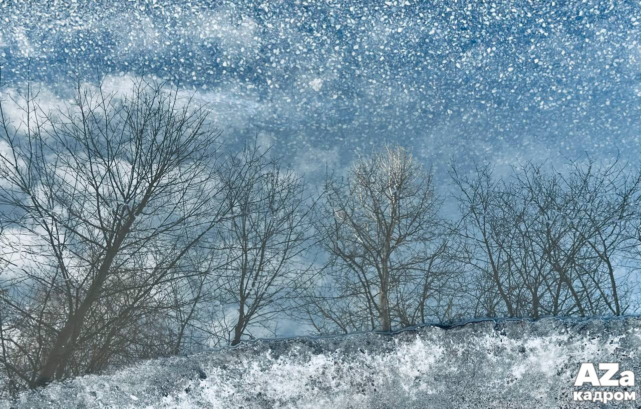 Дыхание весны. Фотоклуб AZакадром. Женский семейный фотограф Тула Москва Захарова Анна