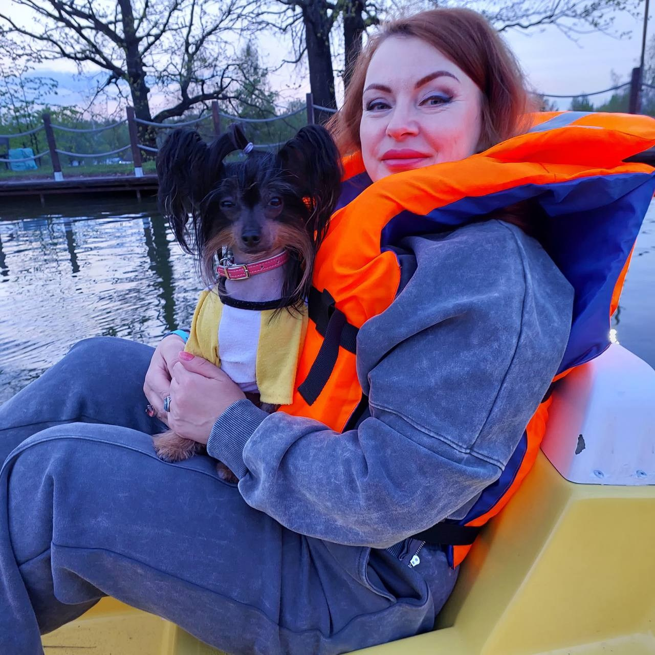 Our Vikusya is on vacation with her family. Chinese Crested Dog Kennel Poale Ell