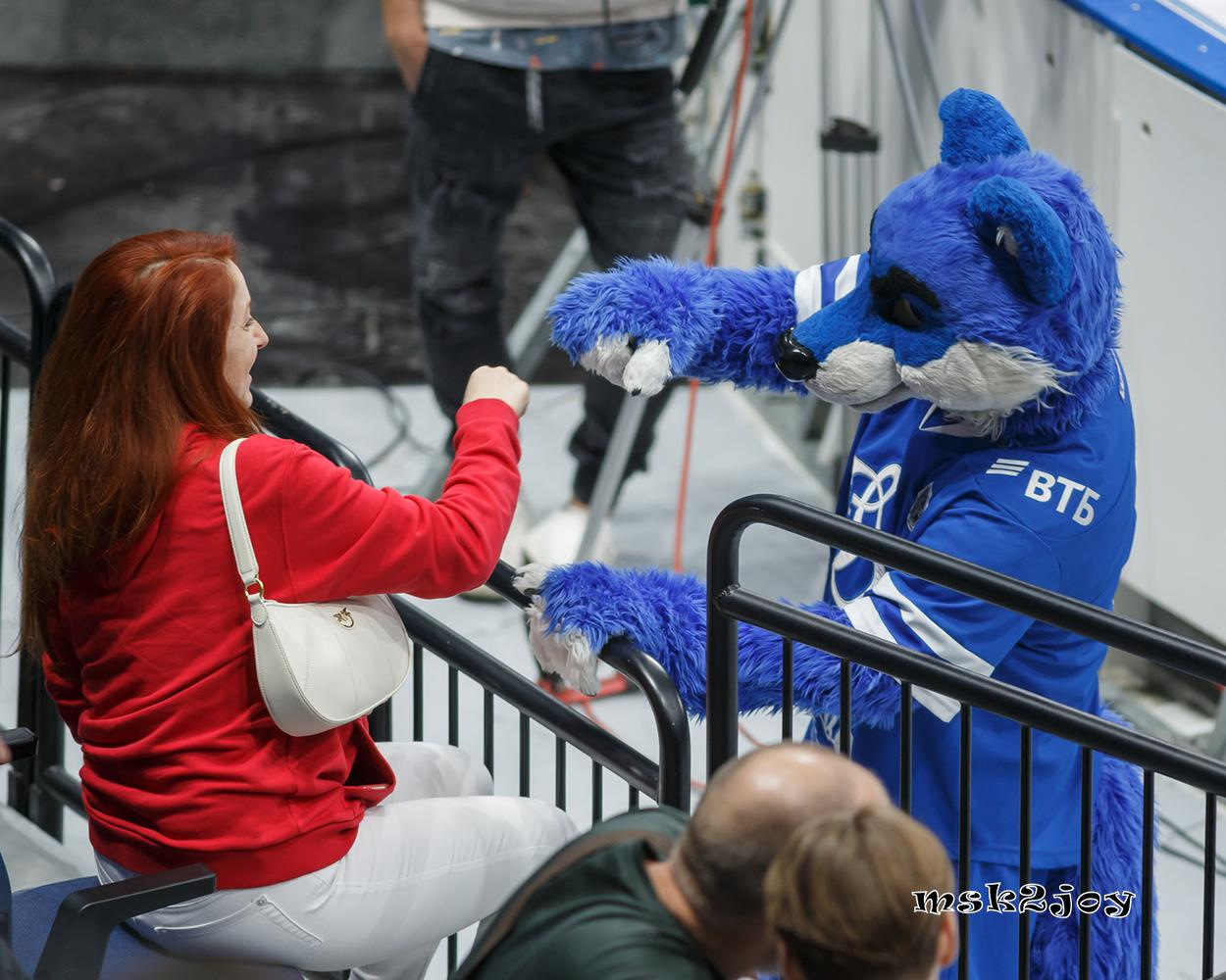 Фоторепортаж. КХЛ. «Динамо» (Москва) — СКА (Санкт-Петербург). Михаил Тоцкий портретный и репортажный фотограф в Москве