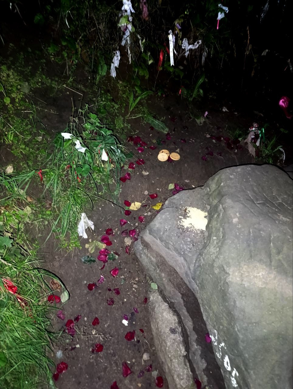 Елена Чернышова — Пираты воображения