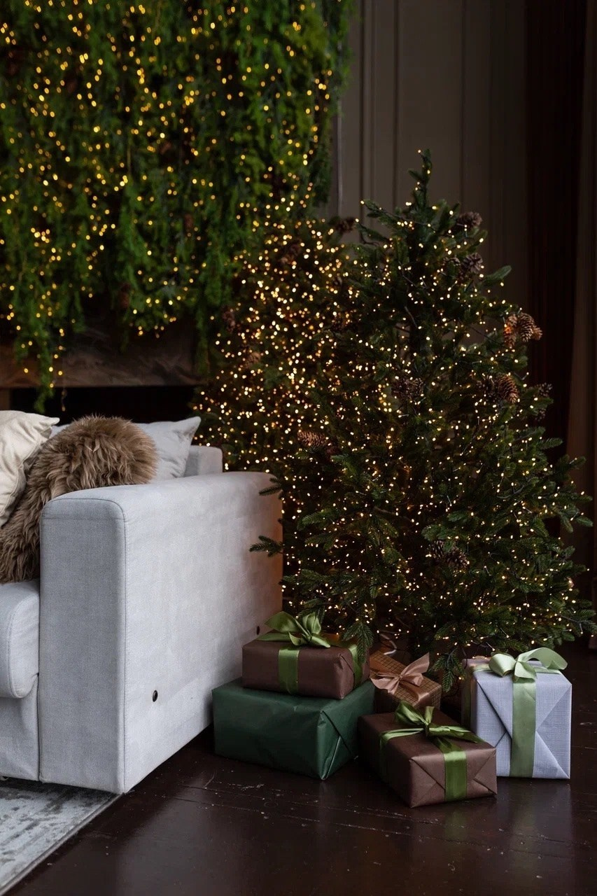 Новогодние студии Нск. Виктория Файфер| фотограф Новосибирск