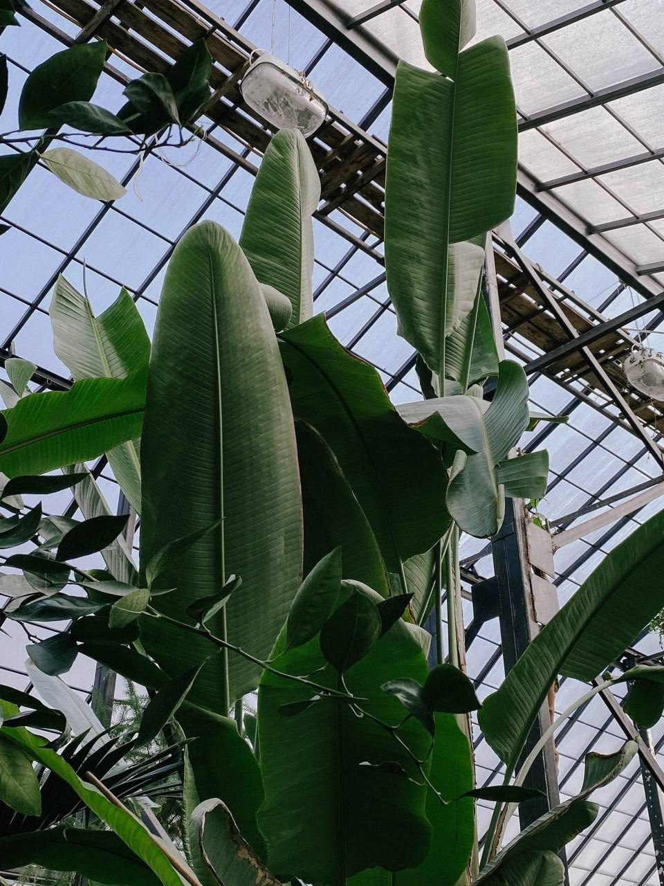 Весенние фотосессии в Нижнем Новгороде. Фотограф и видеограф Елена Лисина