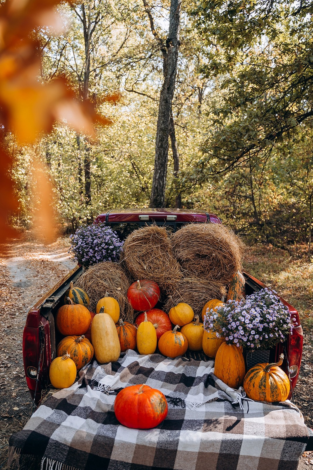 ОСЕННИЕ ДЕКОРАЦИИ (5, 6, 13, 20 октября)). Семейный и свадебный фотограф в Воронеже Майя Добровольская