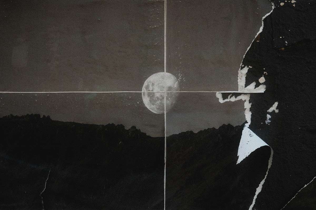 Виктория Ковшикова «Проклятый треугольник». Самоорганизация Низина