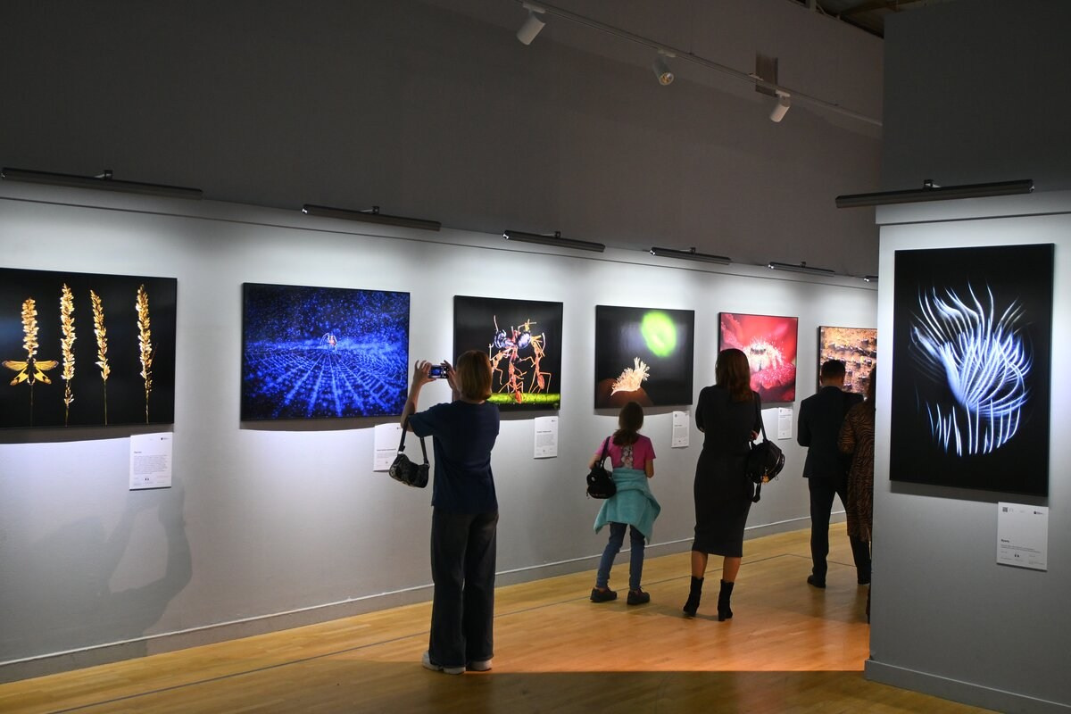 Новости. Золотая Черепаха 2025. Фототуры и обучение пейзажной фотографии