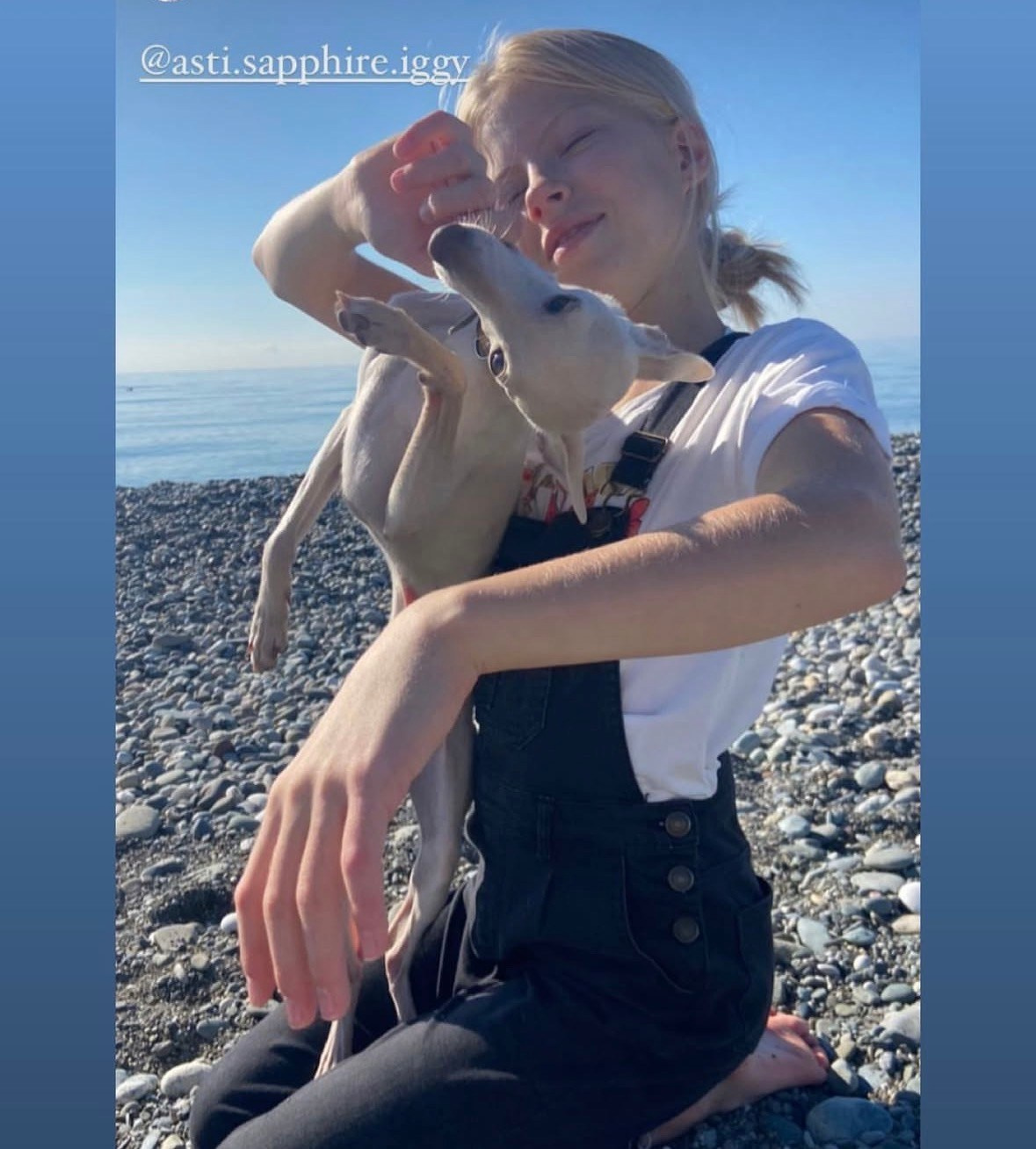 Левретка и ребенок: нежная дружба. Профессиональный питомник левреток РКФ/FCI ASTI SAPPHIRE 💎 Сочи|Санкт-Петербург