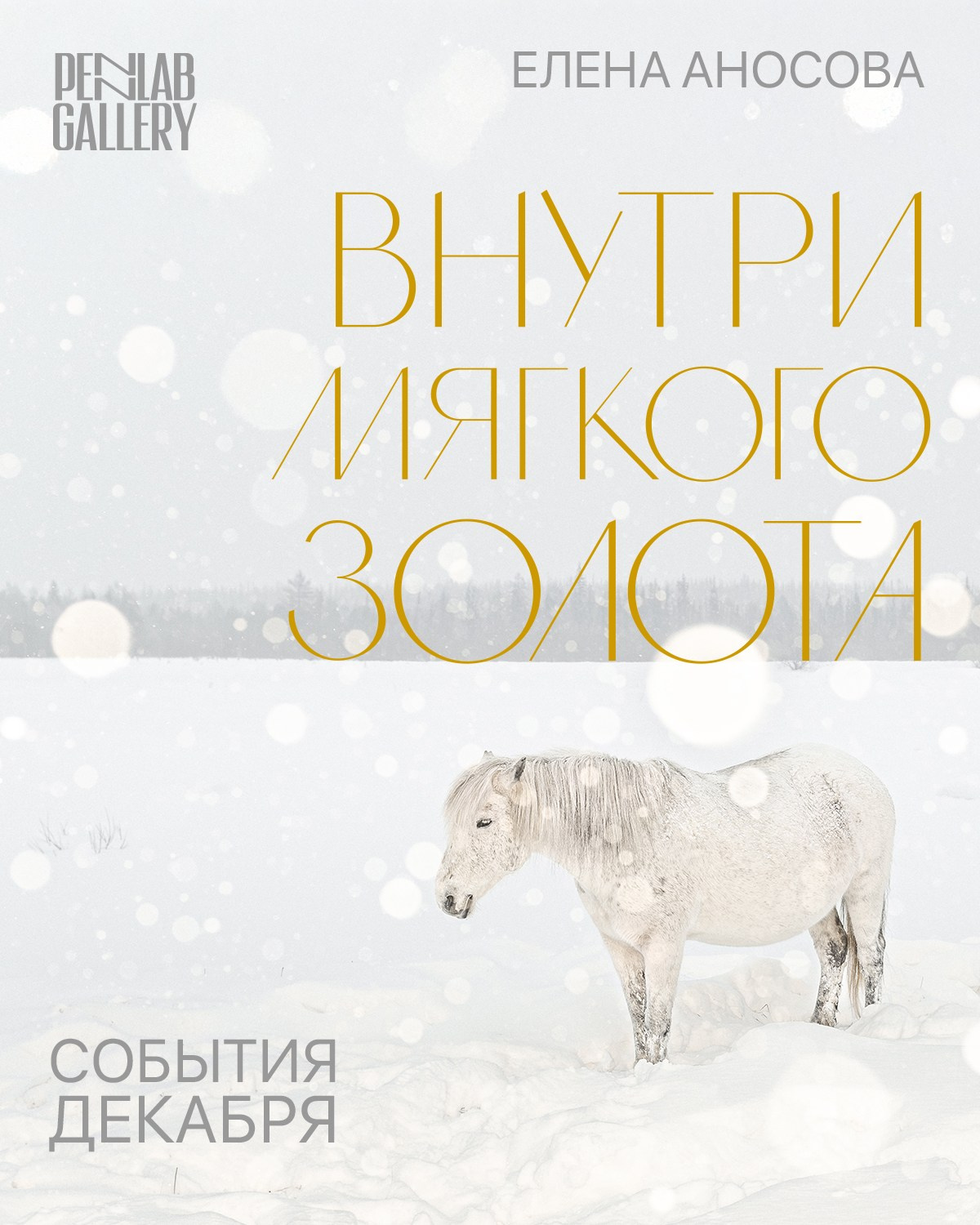 Elena Anosova at Docking Station in Amsterdam. Elena Anosova is an award-winning visual artist