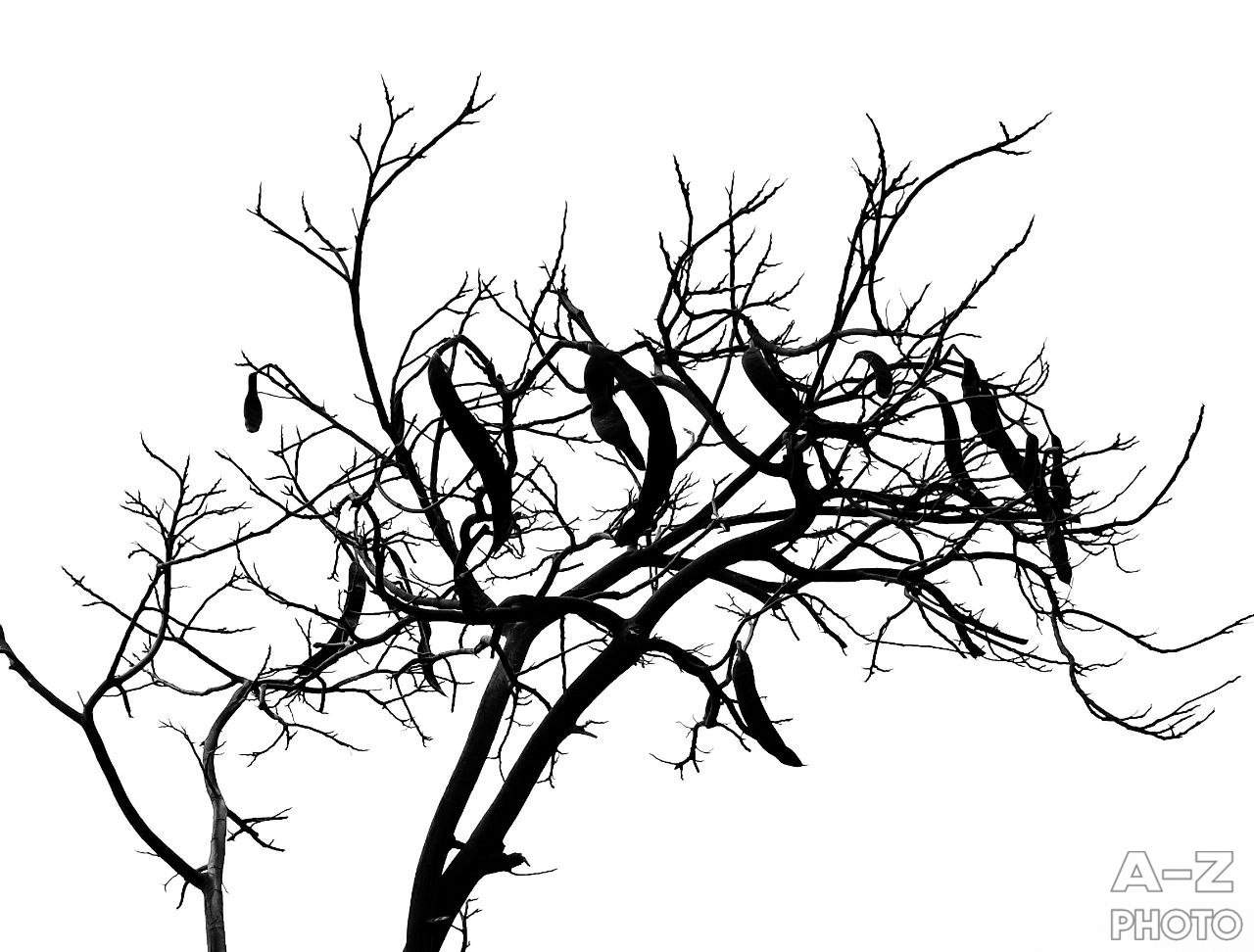 #ФОТОНЕДЕЛИ 16.03.2026. Женский семейный фотограф Тула Москва Захарова Анна