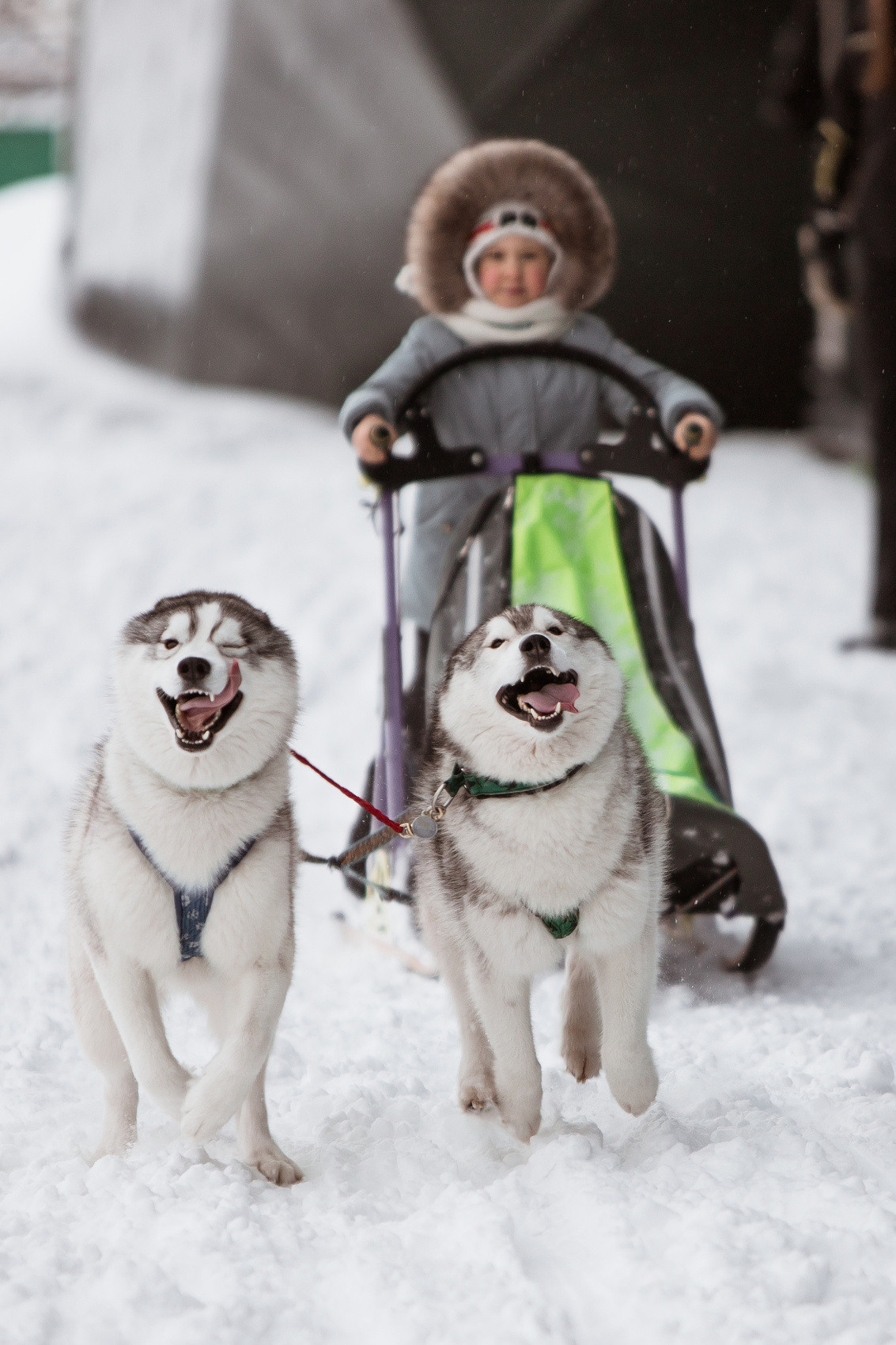 Александра и Мария. Фотостудия во Всеволожске. Подходит для всех творческих проектов